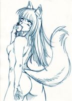 spice_and_wolf_20110612_070.jpg